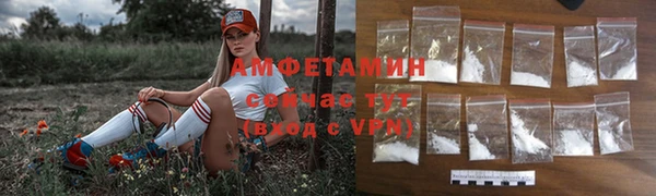 твердый Новозыбков