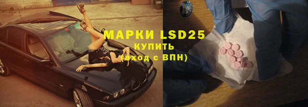 твердый Новозыбков