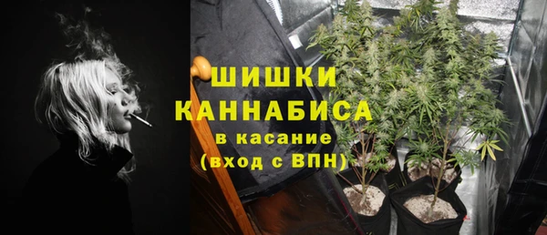 ПСИЛОЦИБИНОВЫЕ ГРИБЫ Няндома