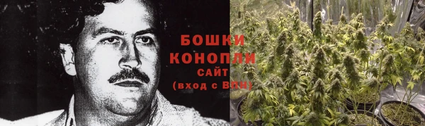 мяу мяу мука Новодвинск