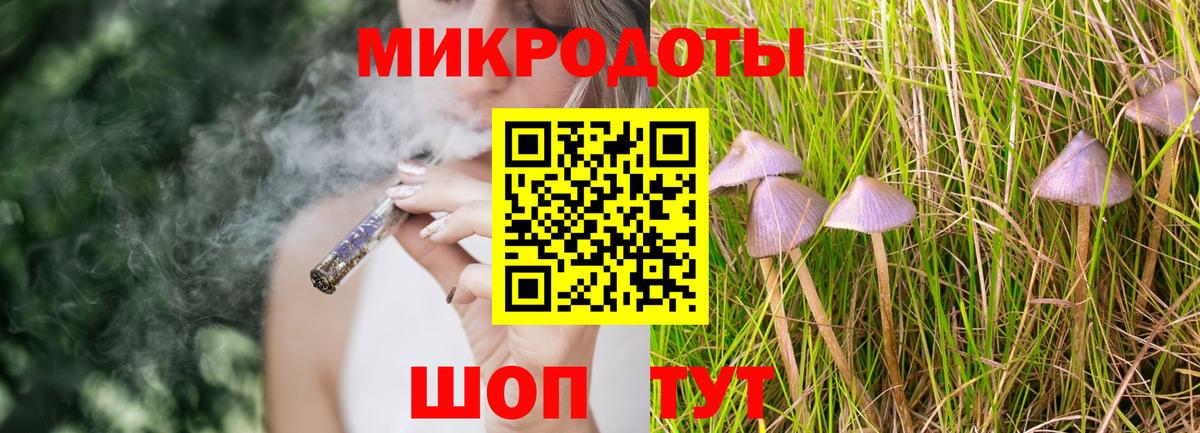Псилоцибиновые грибы Psilocybe Канск
