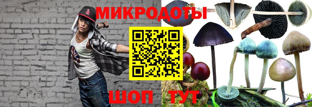 Канск  Псилоцибиновые грибы GOLDEN TEACHER  Вход с VPN  Галлюциногенные грибы GOLDEN TEACHER 